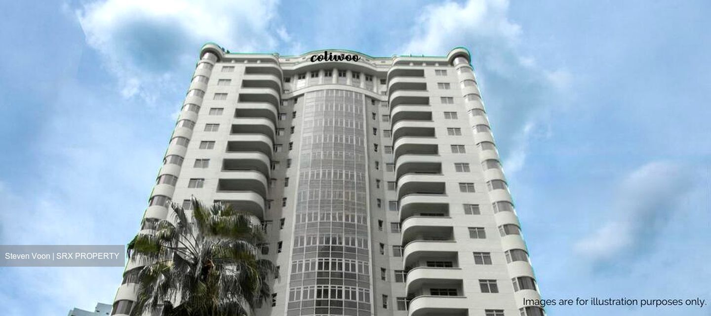 Mount Elizabeth Link (D9), Apartment #496549311